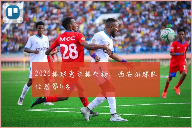 2026排球意识排行榜：西安排球队位居第6名