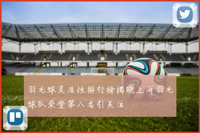 羽毛球灵活性排行榜揭晓上海羽毛球队荣登第八名引关注